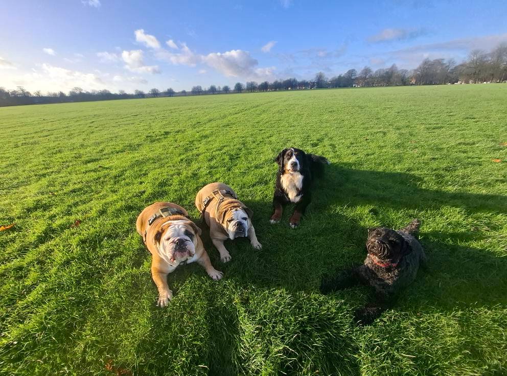 Out & About Adventure