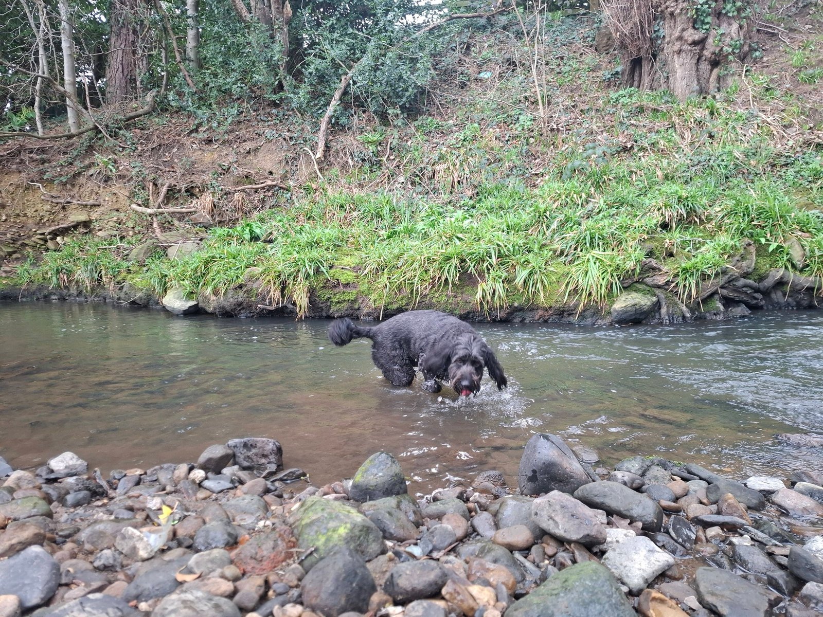Out & About Adventure