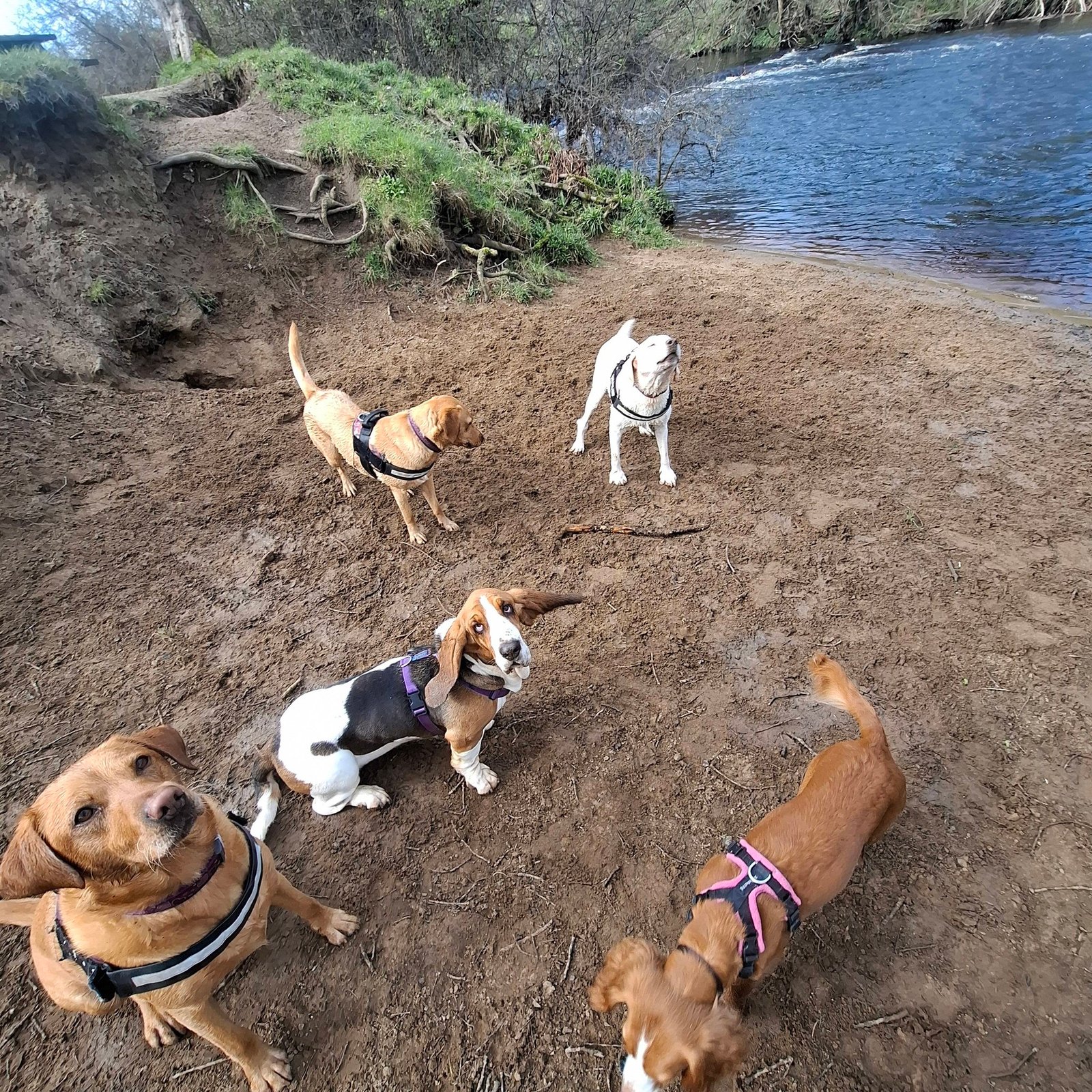 Out & About Adventure