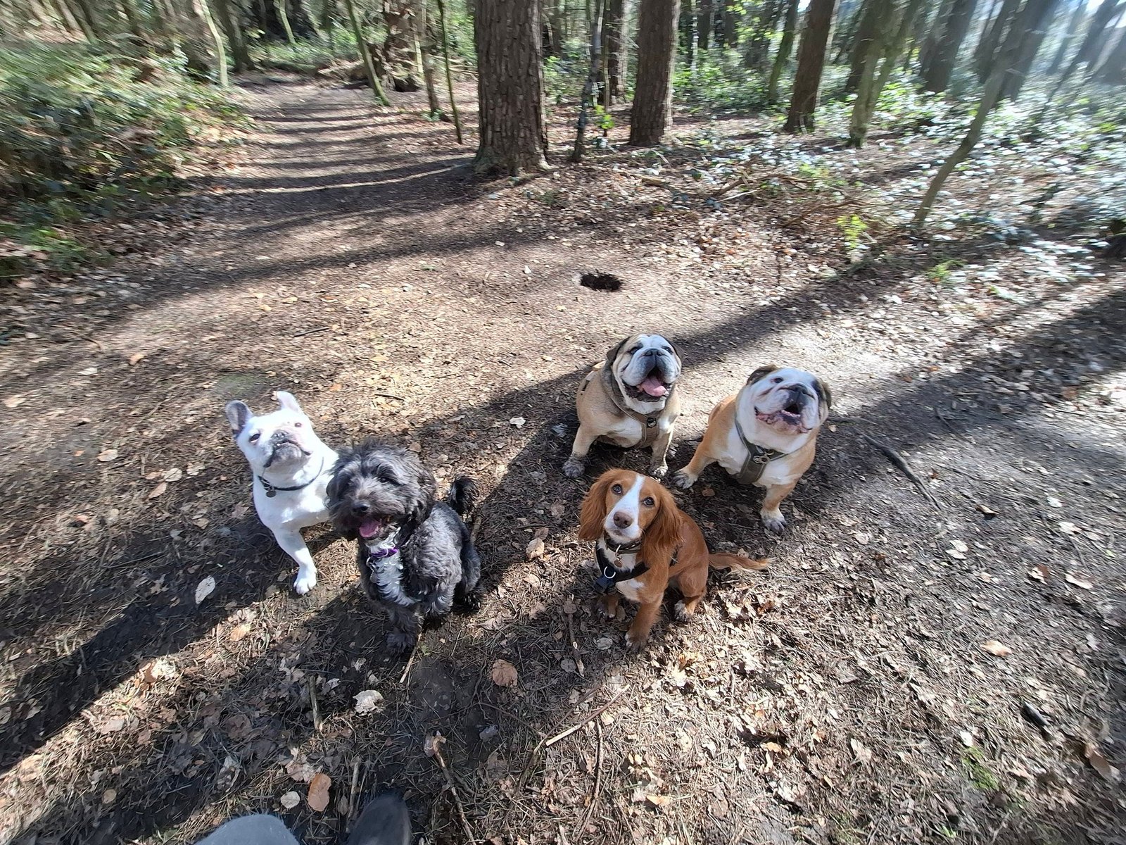Out & About Adventure