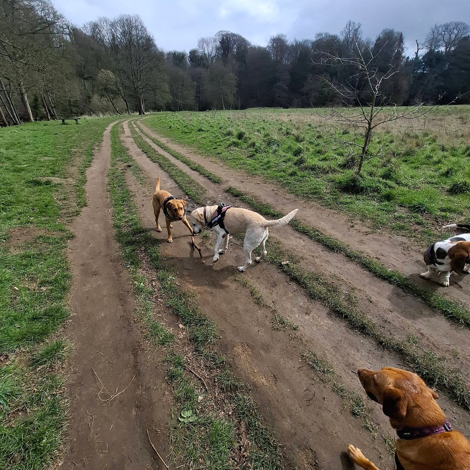 Out & About Adventure