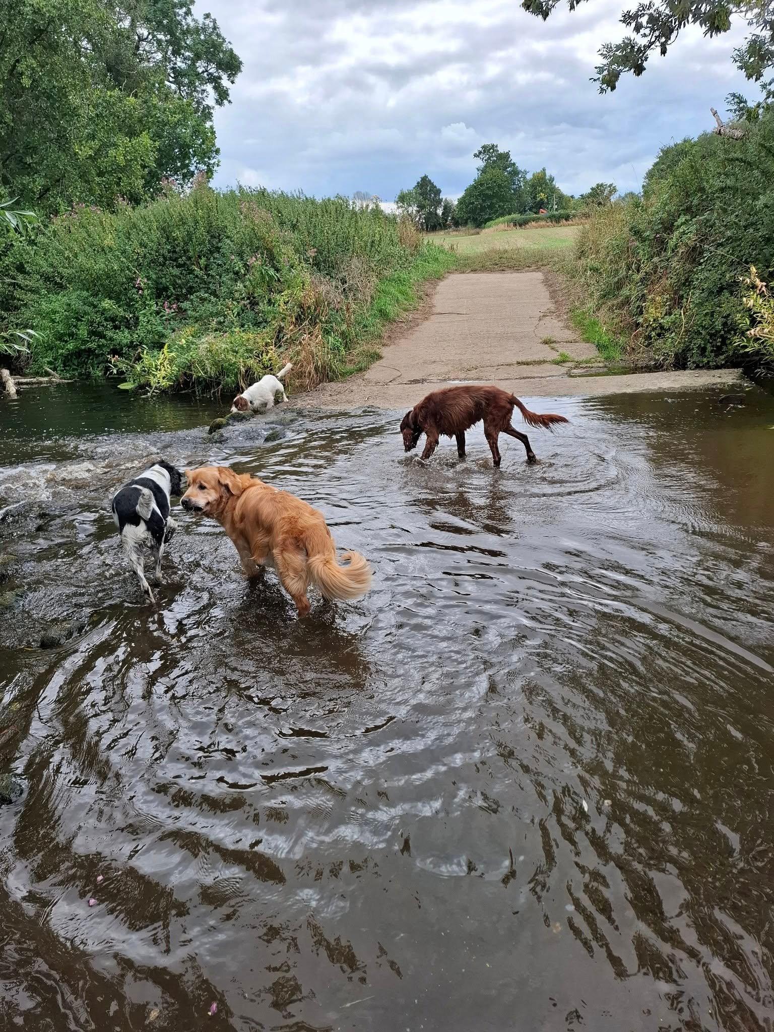 Splash time during the walk