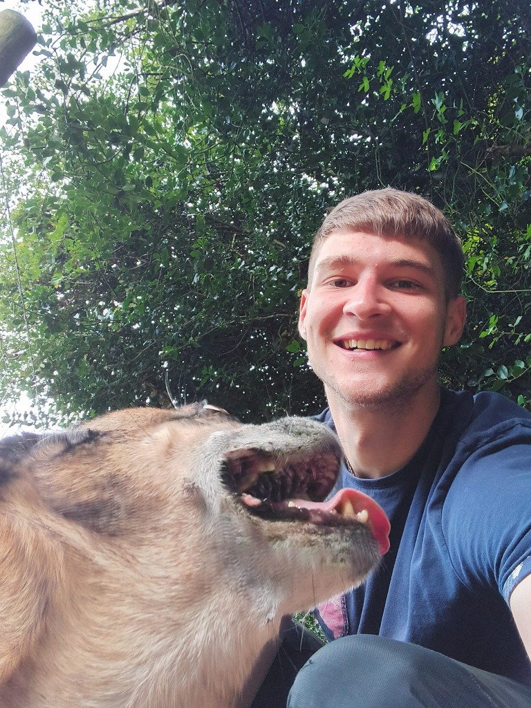Dog training session